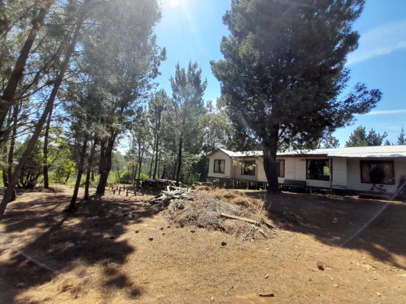 Parral Cabaña, Venta