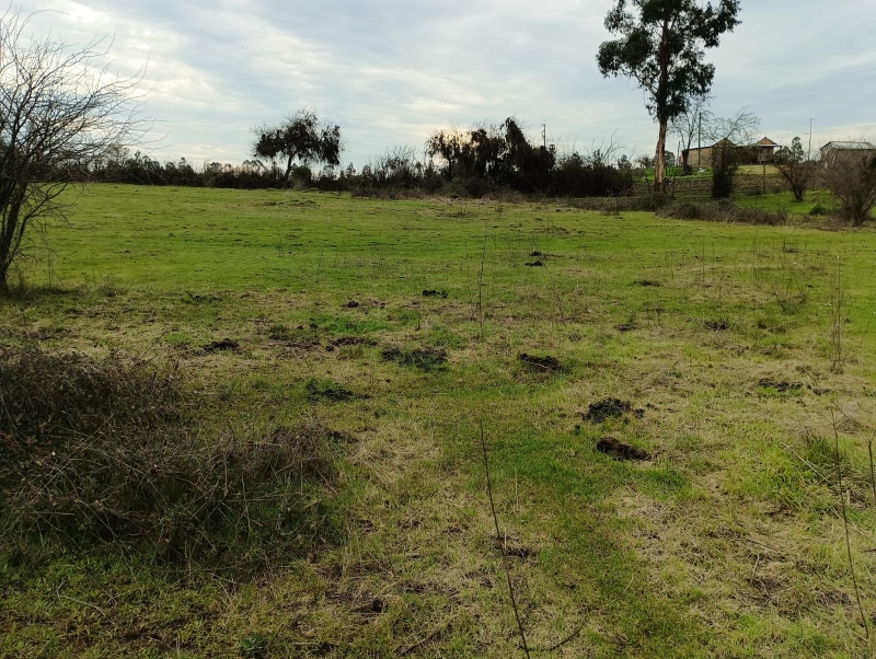 Parcela, venta