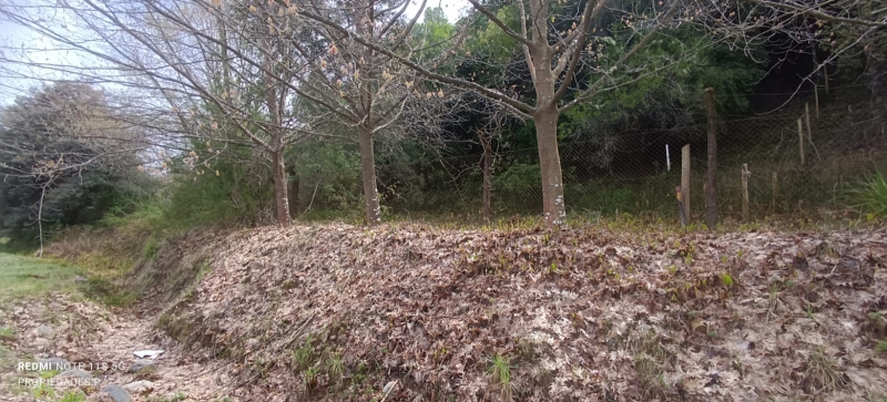 Parral Parcela, Venta