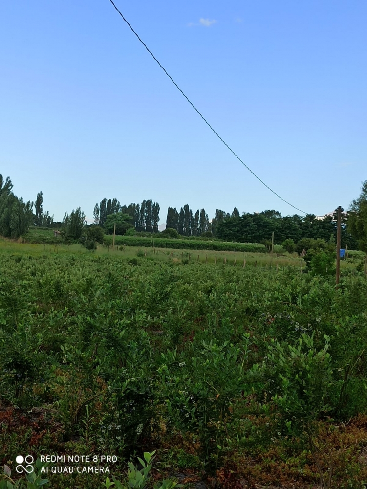 Parcela