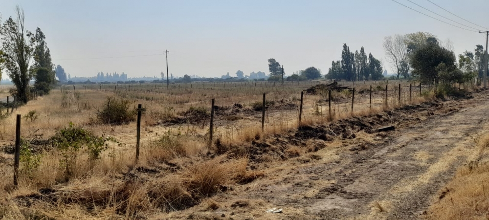 Parral Loteo, Venta
