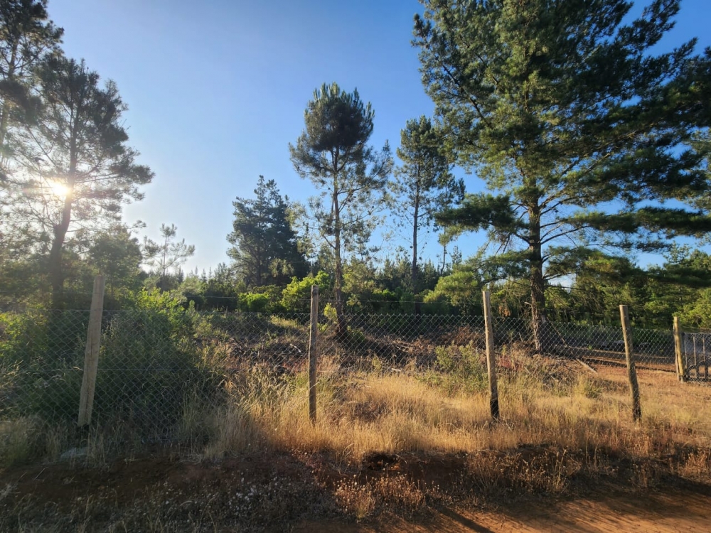 Parral parcela venta