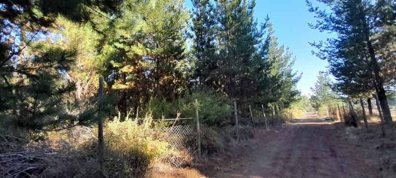 Parral parcela, venta