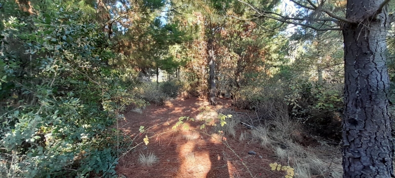 Parral parcela, venta