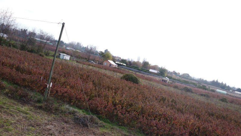 Retiro Parcela, Venta