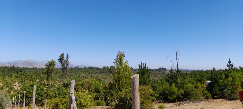 Venta parcela parral