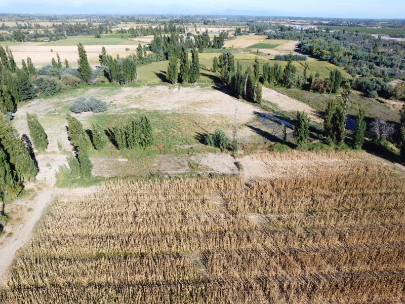 Linares Parcela, Venta