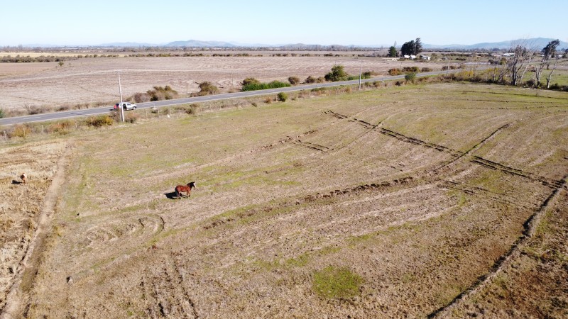 Parral Parcela, Venta