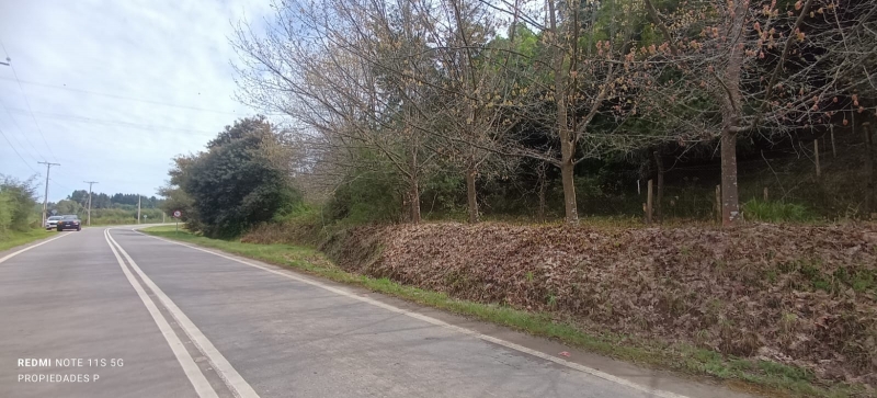 Parral Parcela, Venta