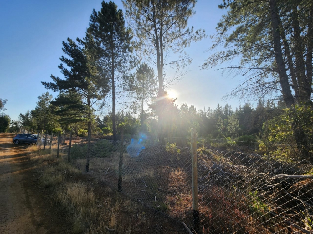 Parcela parral