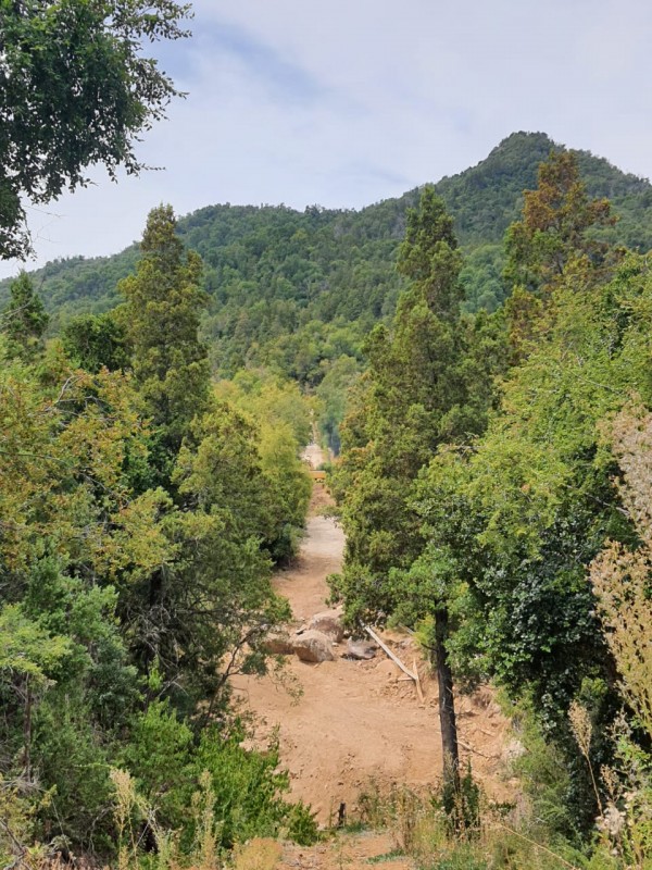 Curicó Parcela, Venta