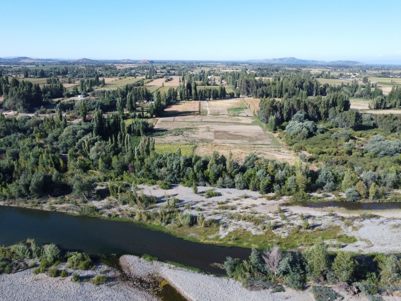 Linares Parcela, Venta