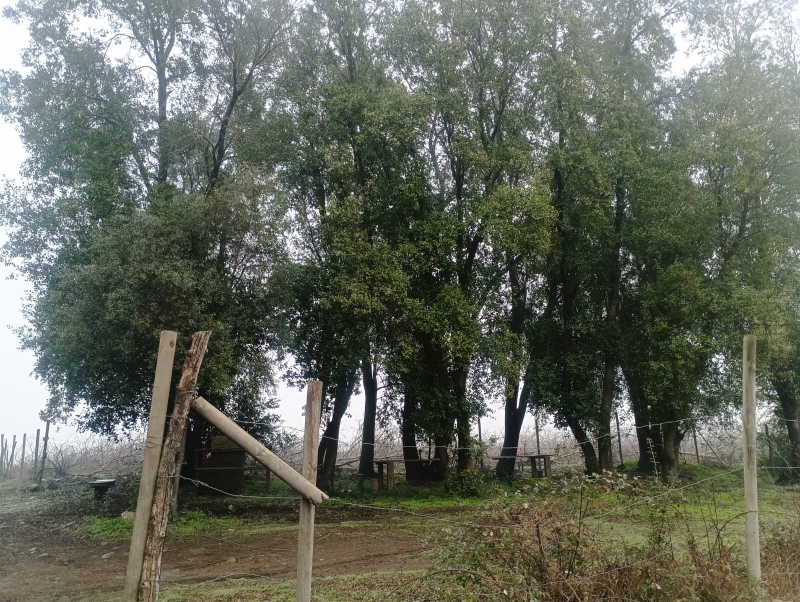 Parcela longavi y casa