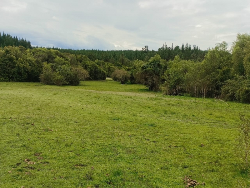 Venta parcela parral