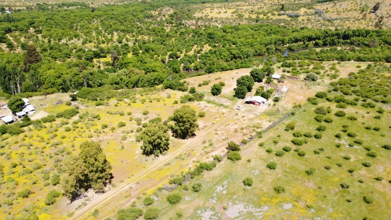 Cauquenes Parcela, Venta