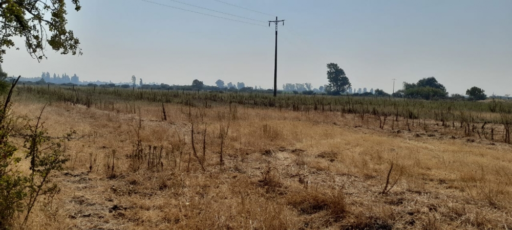 Parral Loteo, Venta