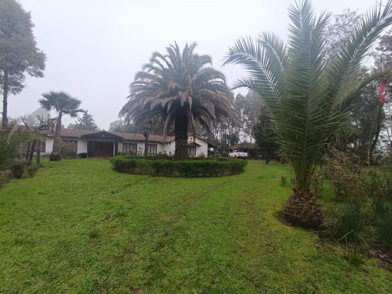 Terreno y propiedad en venta