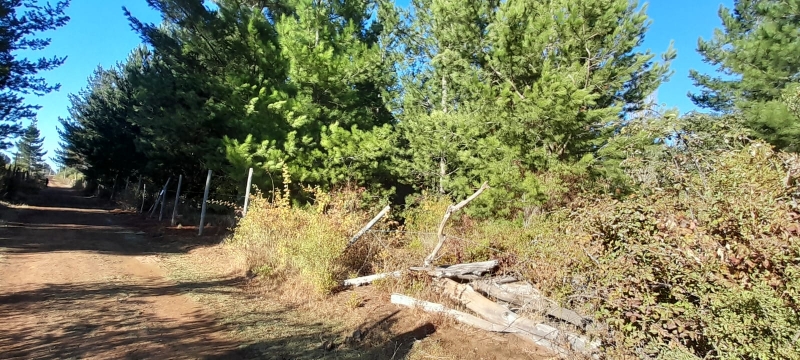 Parral parcela, venta
