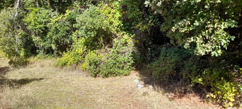 Parcela parral, venta
