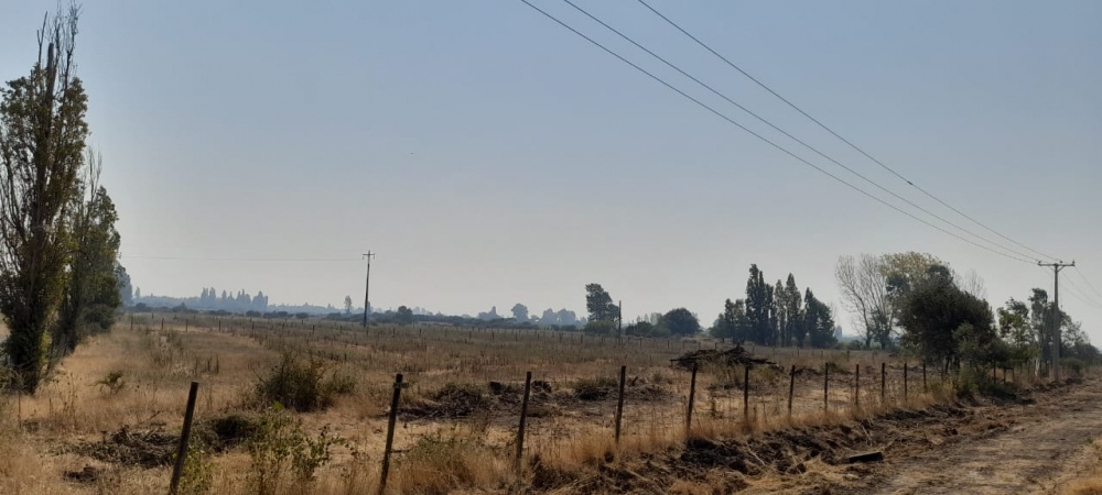 Parral Loteo, Venta