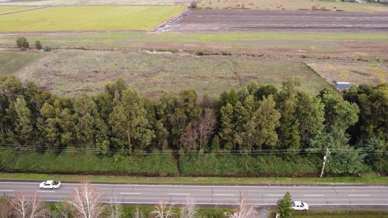 Parcela venta, parral
