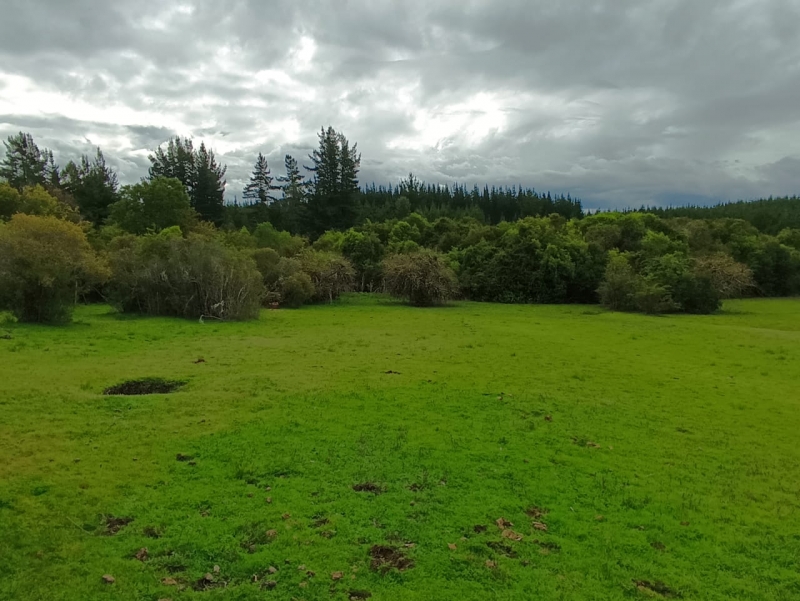Venta parcela parral