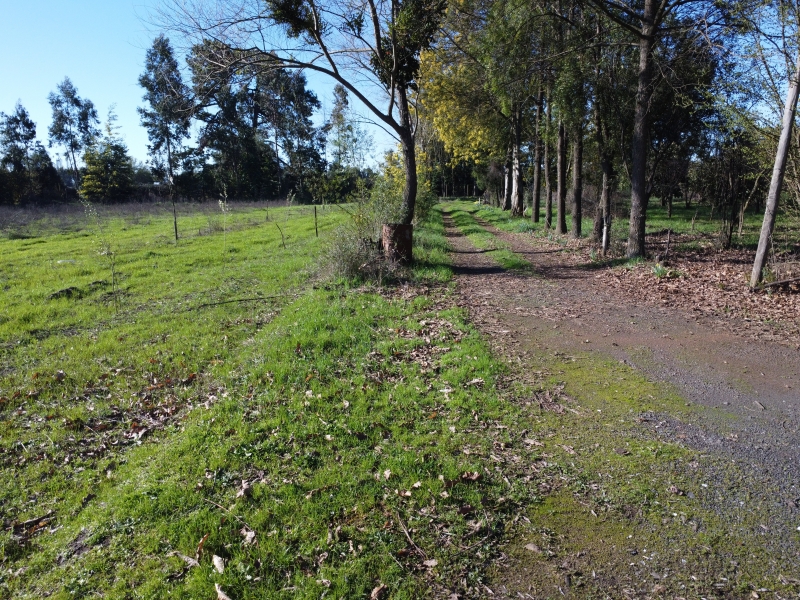 Venta parcela parral