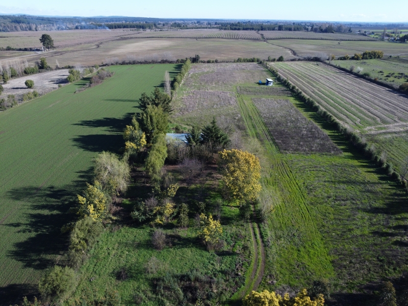 Venta parcela parral