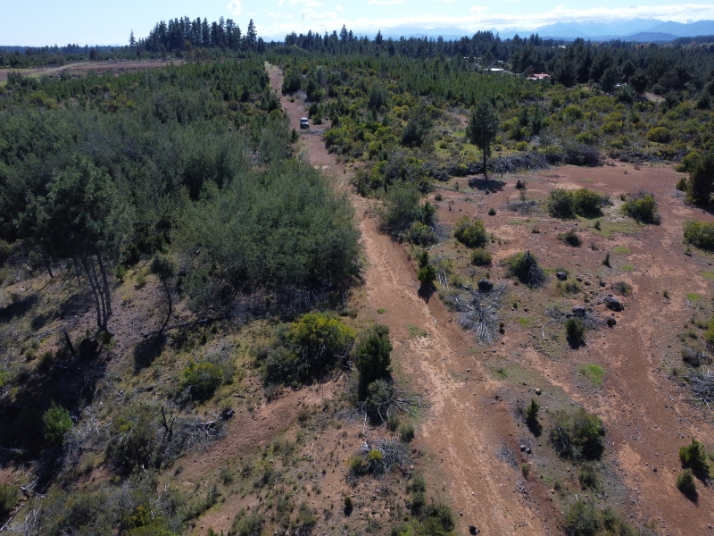 Venta de loteo en parral