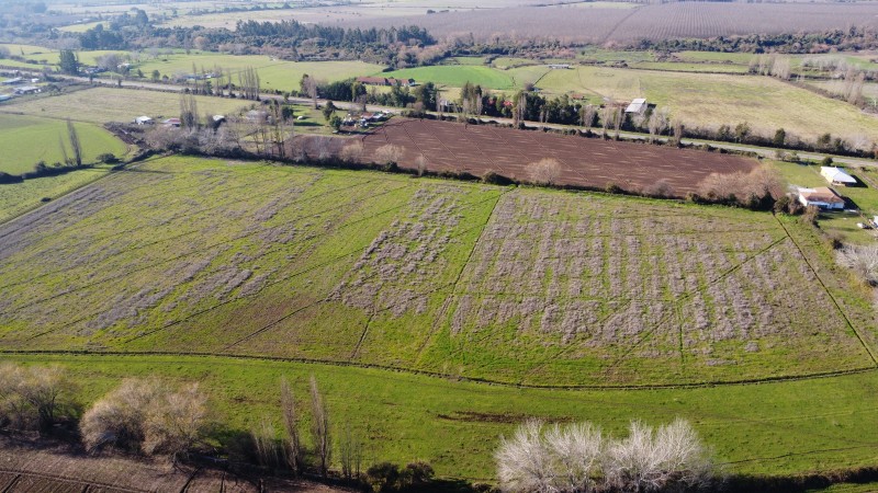 Terreno agricola, venta Parral