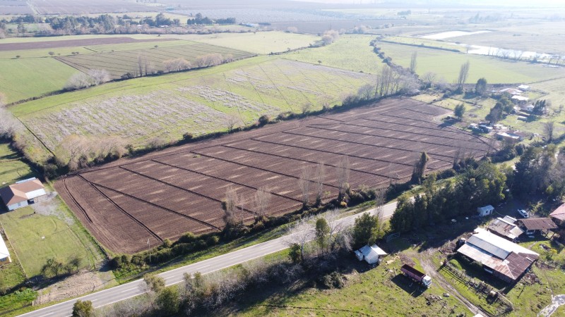 Terreno agricola, venta Parral
