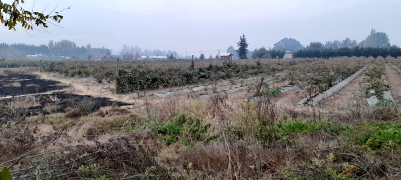 Retiro parcela, venta