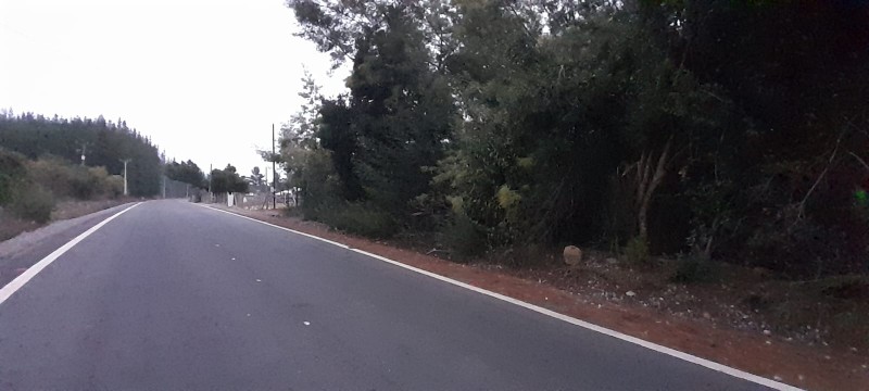 Parcela, Venta Parral