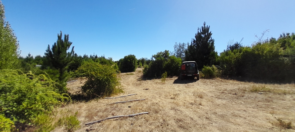 Venta parcela parral