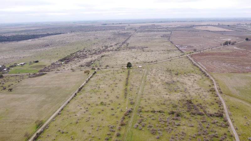 Retiro Terreno Agrícola, Venta