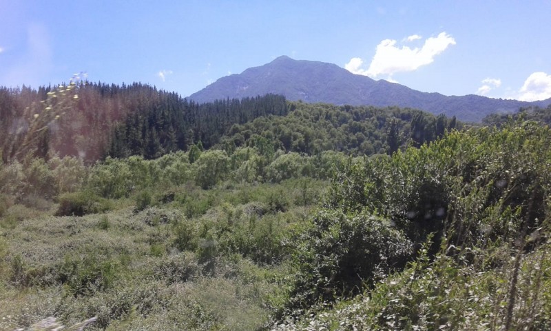 Curicó Parcela, Venta