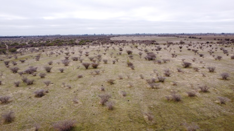 Retiro Terreno Agrícola, Venta