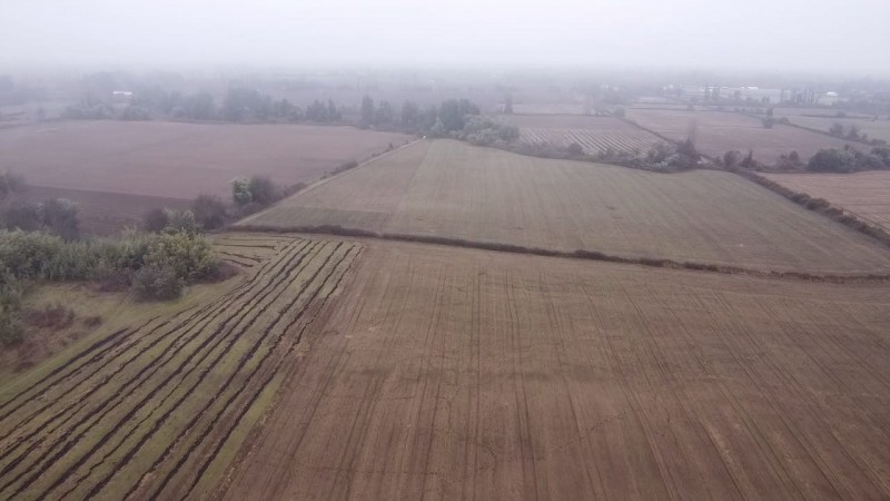 Terreno Agrícola, Venta