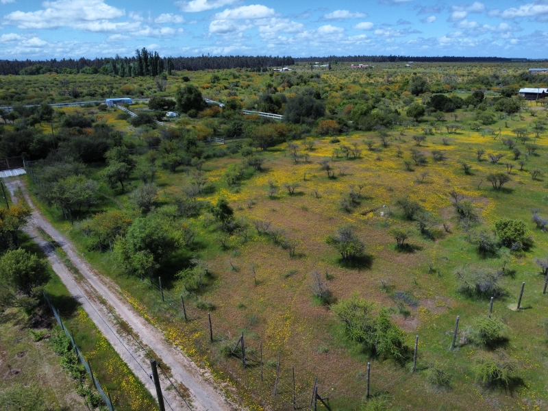 Venta parcela
