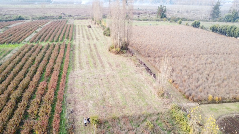 Retiro Parcela, Venta