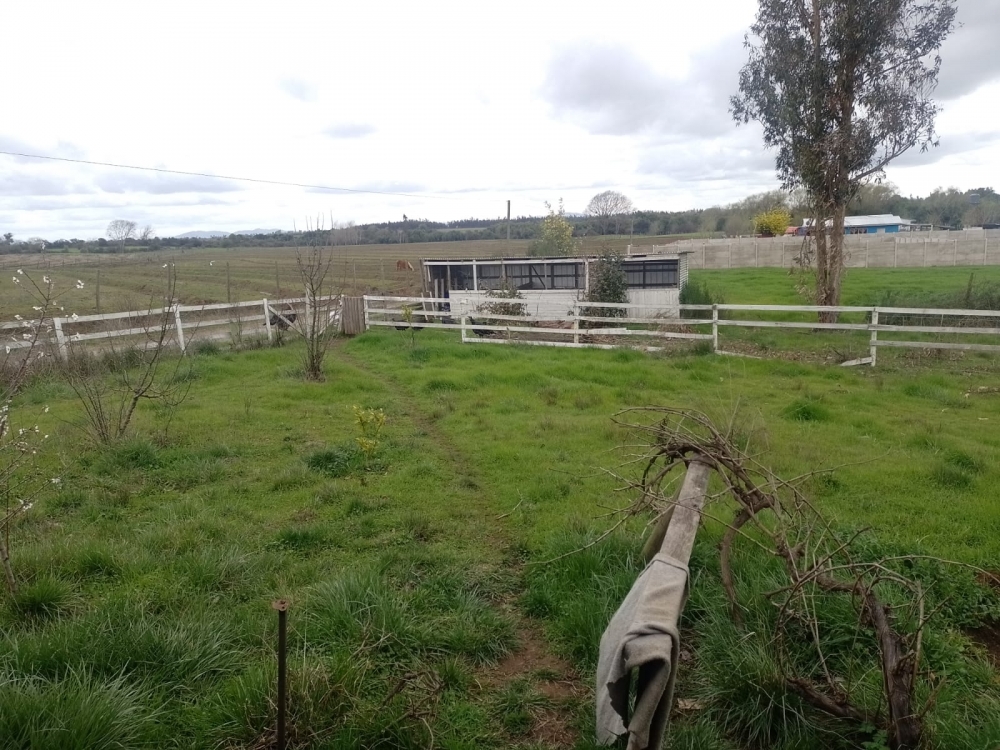 Parcela en parral, venta