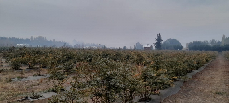 Retiro parcela, venta