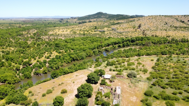 Cauquenes Parcela, Venta