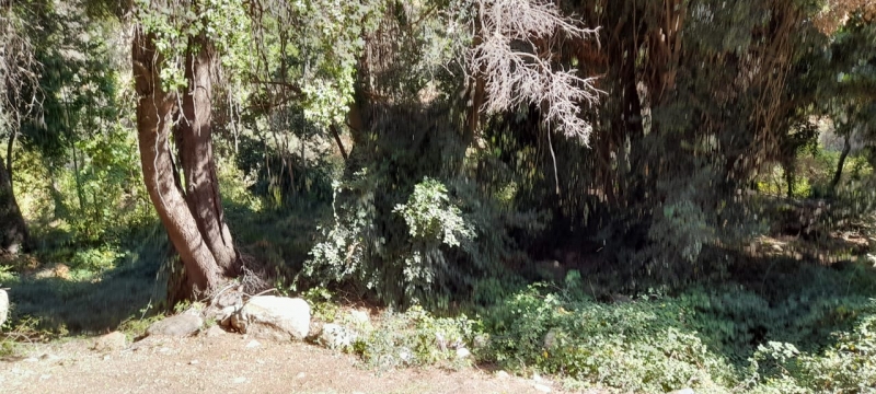 Parcela parral, venta