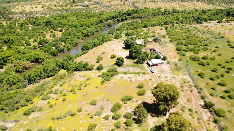 Cauquenes Parcela, Venta