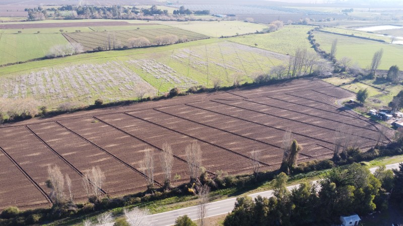 Terreno agricola, venta Parral