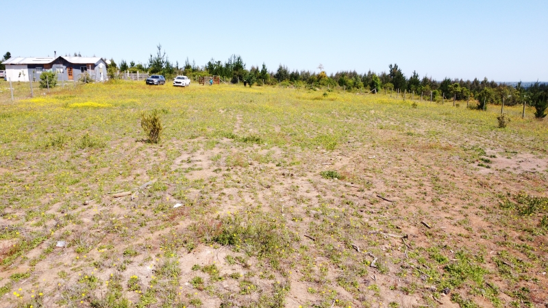 Parral Parcela, Venta