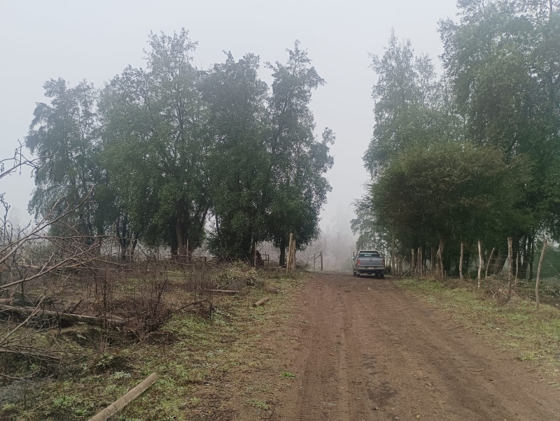 Parcela longavi y casa