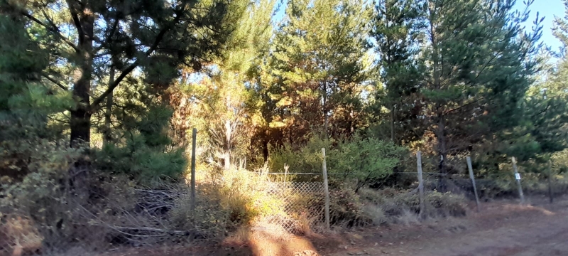 Parral parcela, venta