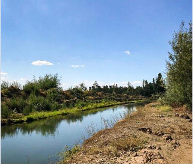 Parral Loteo, Venta